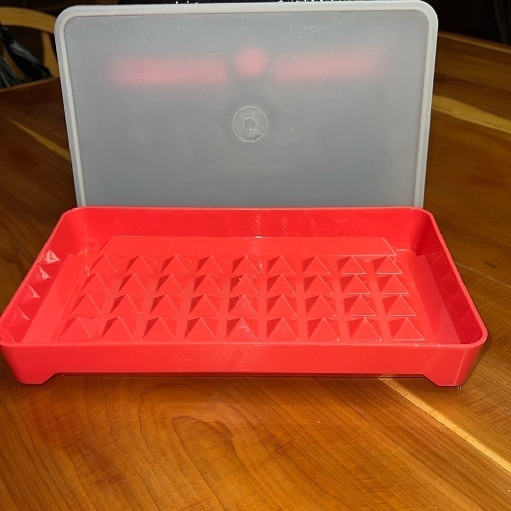 Vintage Tupperware Bacon Hotdog Keeper Tray with Lid
